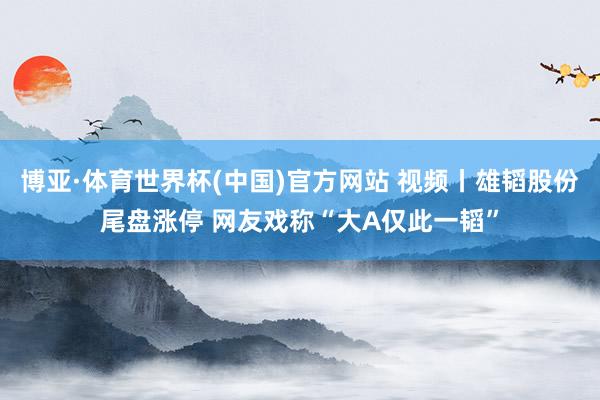 博亚·体育世界杯(中国)官方网站 视频丨雄韬股份尾盘涨停 网友戏称“大A仅此一韬”