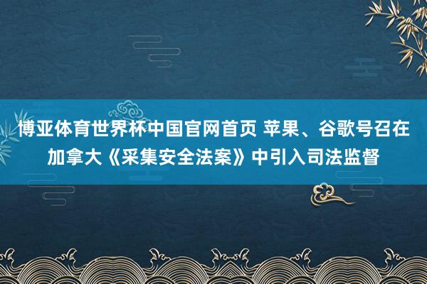 博亚体育世界杯中国官网首页 苹果、谷歌号召在加拿大《采集安全法案》中引入司法监督