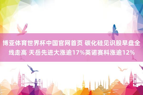 博亚体育世界杯中国官网首页 碳化硅见识股早盘全线走高 天岳先进大涨逾17%英诺赛科涨逾12%