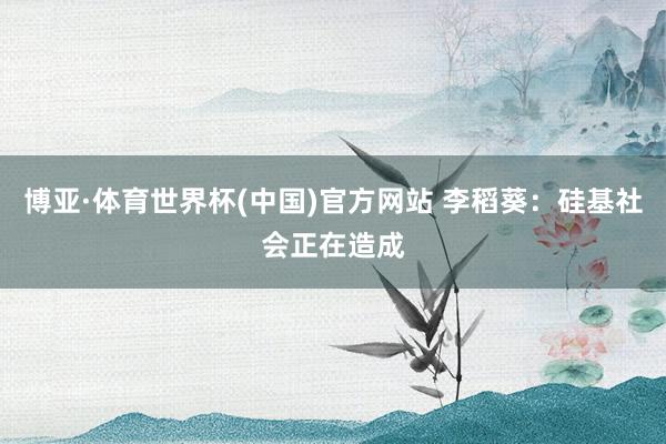 博亚·体育世界杯(中国)官方网站 李稻葵：硅基社会正在造成