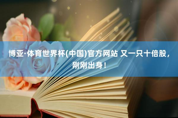 博亚·体育世界杯(中国)官方网站 又一只十倍股，刚刚出身！
