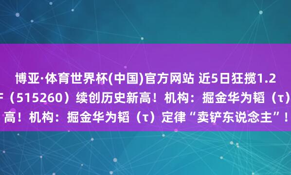 博亚·体育世界杯(中国)官方网站 近5日狂揽1.2亿元！华宝基金电子ETF（515260）续创历史新高！机构：掘金华为韬（τ）定律“卖铲东说念主”！