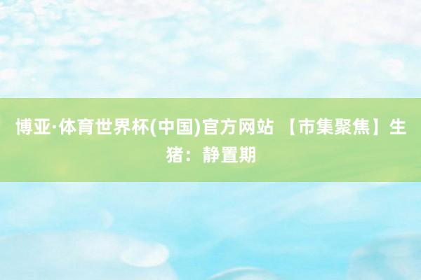 博亚·体育世界杯(中国)官方网站 【市集聚焦】生猪：静置期