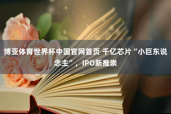 博亚体育世界杯中国官网首页 千亿芯片“小巨东说念主”，IPO新推崇