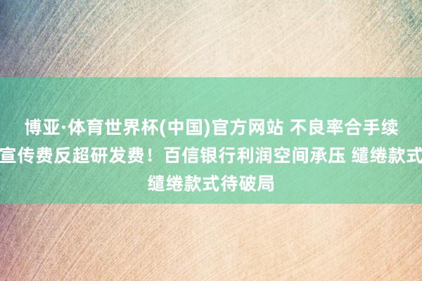 博亚·体育世界杯(中国)官方网站 不良率合手续攀升、宣传费反超研发费！百信银行利润空间承压 缱绻款式待破局