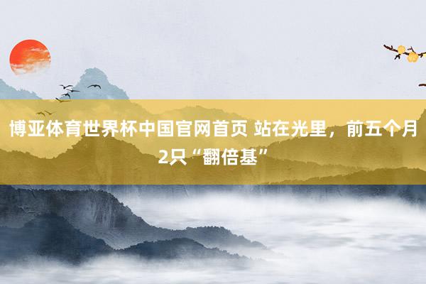 博亚体育世界杯中国官网首页 站在光里，前五个月2只“翻倍基”