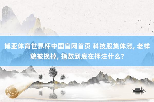 博亚体育世界杯中国官网首页 科技股集体涨, 老样貌被换掉, 指数到底在押注什么?