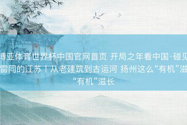 博亚体育世界杯中国官网首页 开局之年看中国·碰见不雷同的江苏丨从老建筑到古运河 扬州这么“有机”滋长
