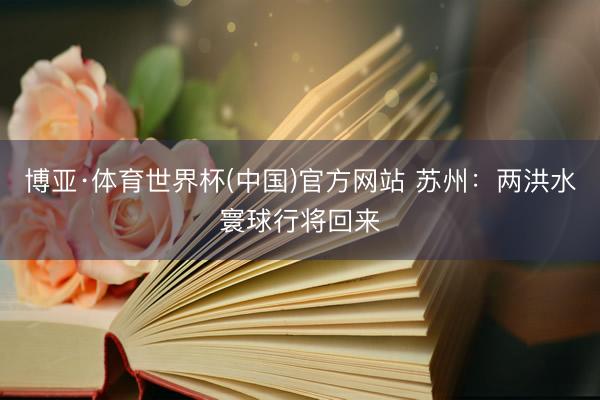 博亚·体育世界杯(中国)官方网站 苏州：两洪水寰球行将回来