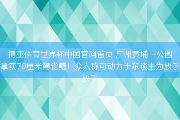 博亚体育世界杯中国官网首页 广州黄埔一公园拿获70厘米鳄雀鳝!众人称可动力于东谈主为放手