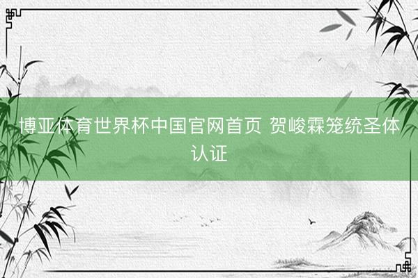 博亚体育世界杯中国官网首页 贺峻霖笼统圣体认证